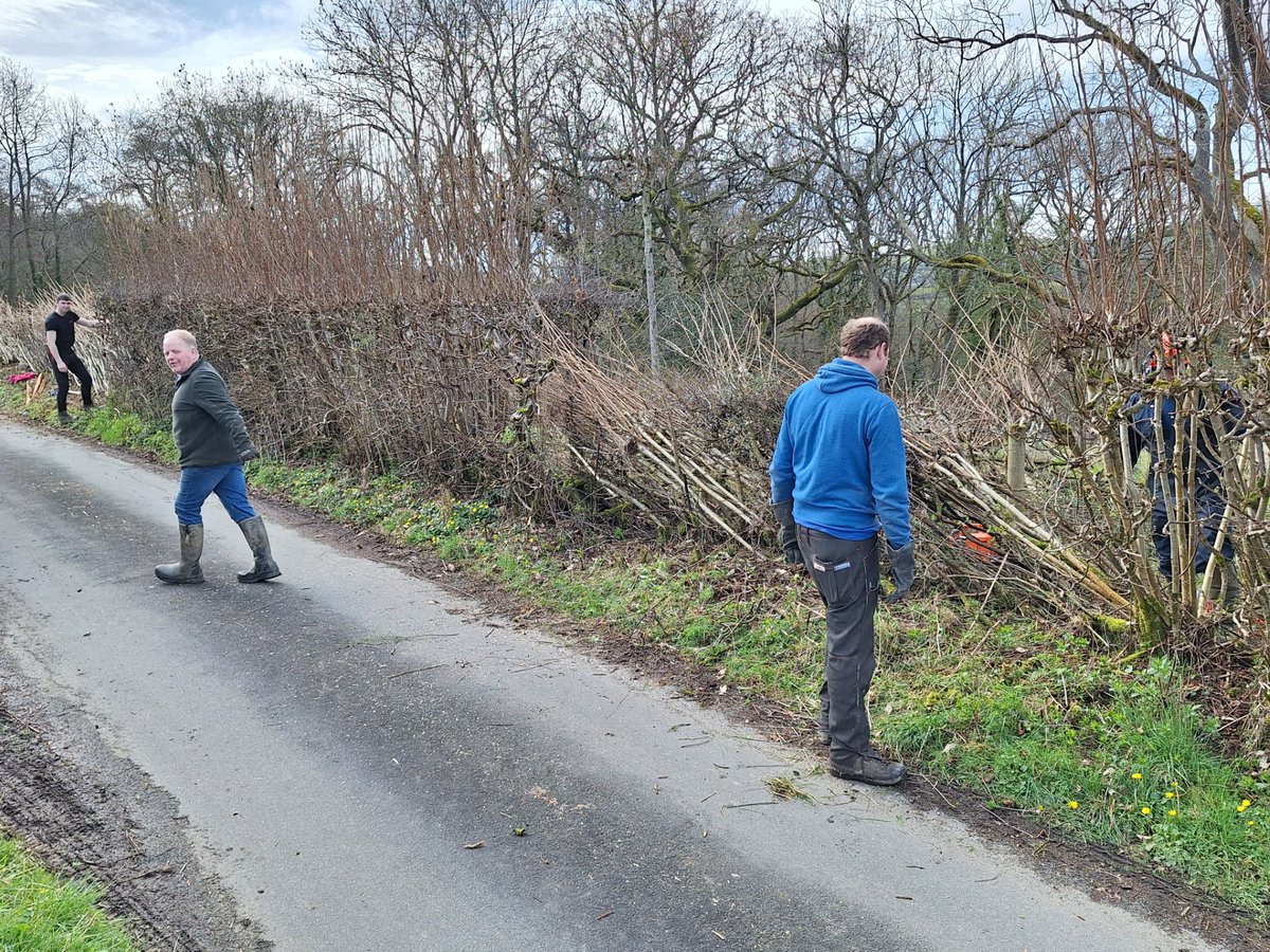 Fferm Fronlas Farm tweet media