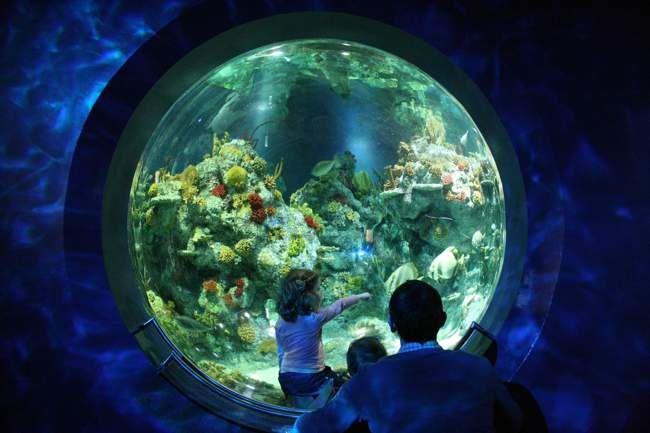 AboutBritain's tweet image. If you're visiting Bristol with a toddler soon, you'll find lots of fun activities in our new guide: buff.ly/3vkG4AE
#bristolwithkids #bristol #bristolactivities #bristolwithtoddlers