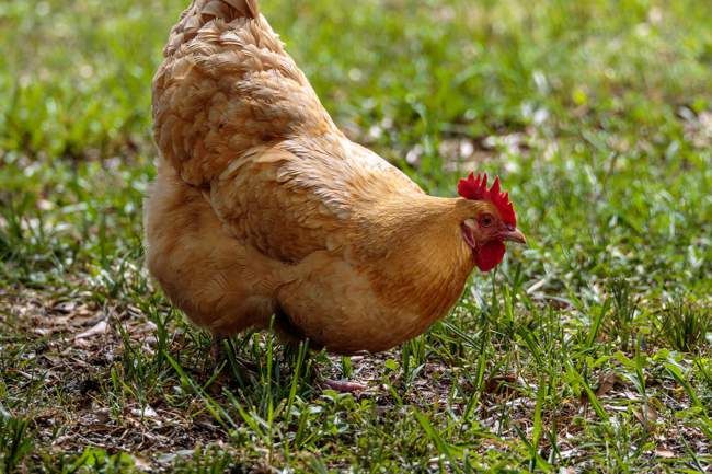 AboutBritain's tweet image. If you're visiting Bristol with a toddler soon, you'll find lots of fun activities in our new guide: buff.ly/3vkG4AE
#bristolwithkids #bristol #bristolactivities #bristolwithtoddlers