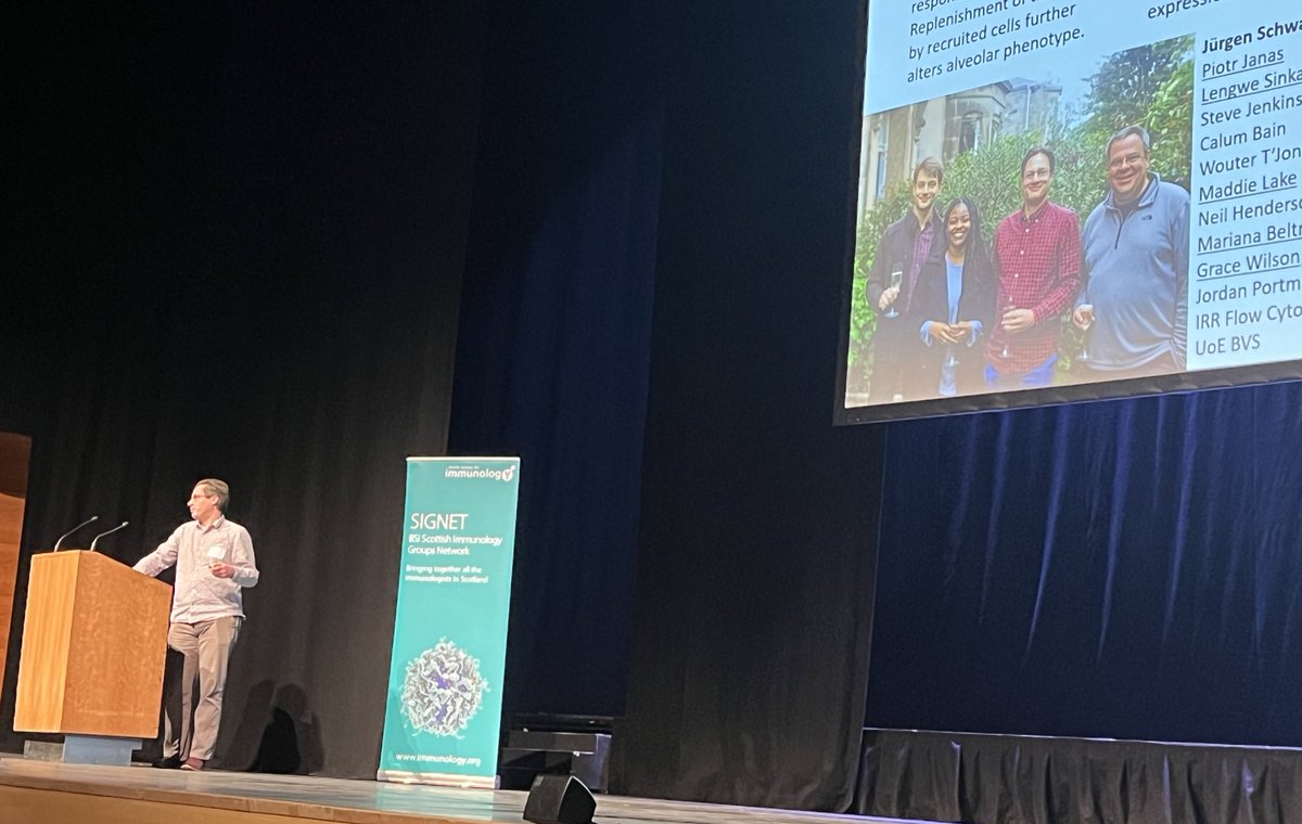 DoctorEmmerson's tweet photo. And last up before lunch (not an easy slot!) is @MattOBurgess from @EdinUni_CIR presenting his lovely work on #myeloid cells during RSV infection #SIGNET2024 https://t.co/JZ5YxbODk5