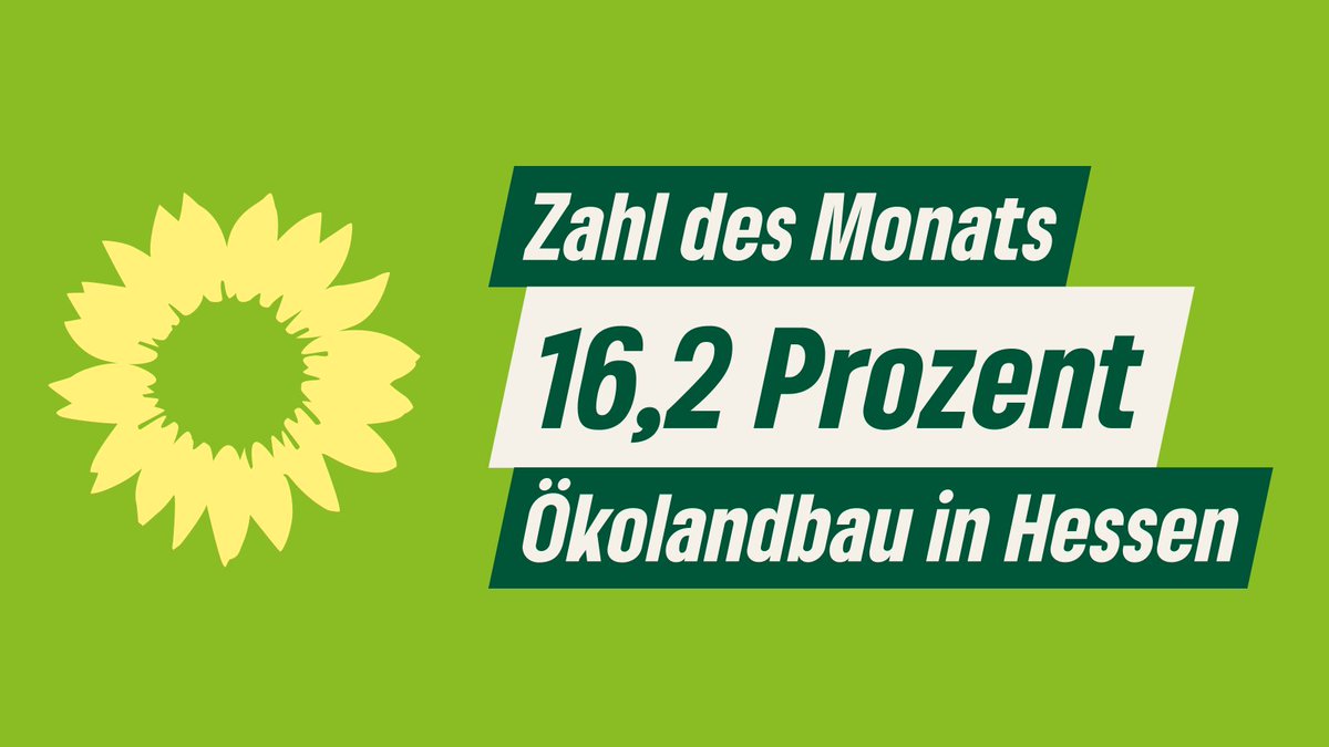 16,2% der Anbaufläche Hessens entfallen auf den Ökolandbau, Platz 2 im Ländervergleich. Doch diese Spitzenposition wird Hessen wohl bald verlieren, denn die neue schwarz-rote Landesregierung will sich von den Ausbauzielen für den Ökolandbau verabschieden: gruenlink.de/2ren