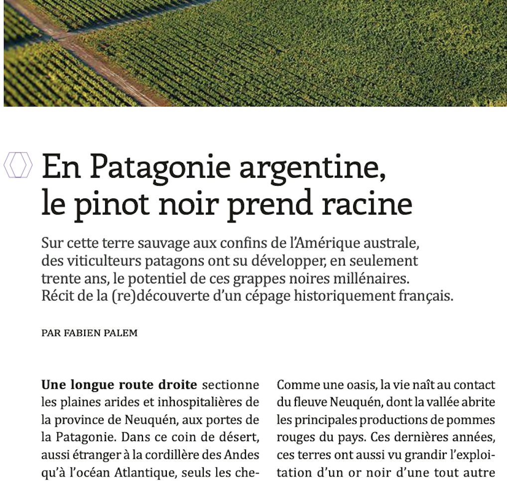 fabienpalem's tweet photo. @TheGoodLife @Est_Churubusco 100 pages plus tard, dans ce même #62 de @TheGoodLife, mon reportage à San Patricio del Chañar (Neuquén) en #Patagonie, auprès des producteurs de pinot noir @BodFinDelMundo @SchroederWines @SecrePatagonico @AndyDonadio #BodegaMalma https://t.co/uJkqt9xxVt