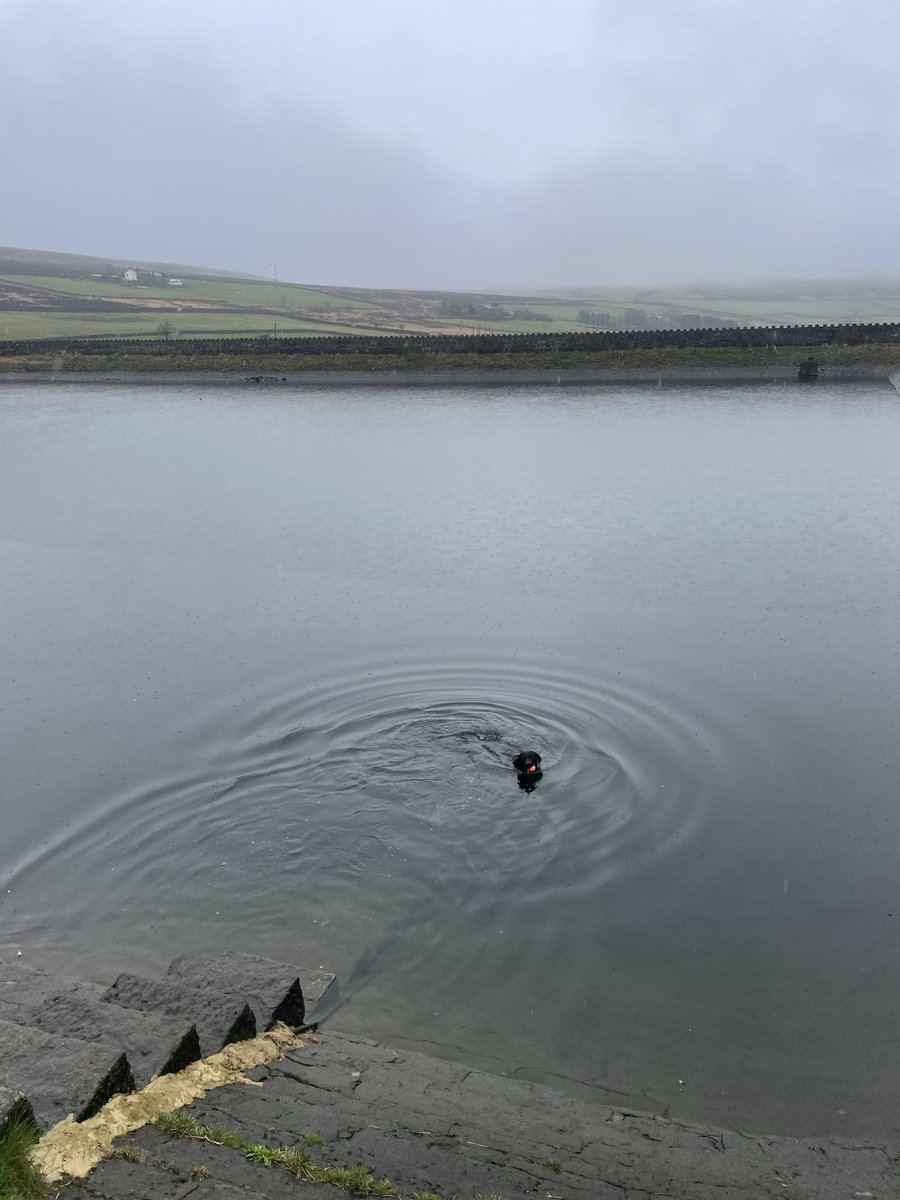 theannaclarkson's tweet image. Trix and me cloaked in dawn’s foggy mysteries. #SpringEquinox #serenity 
#Whatstocome