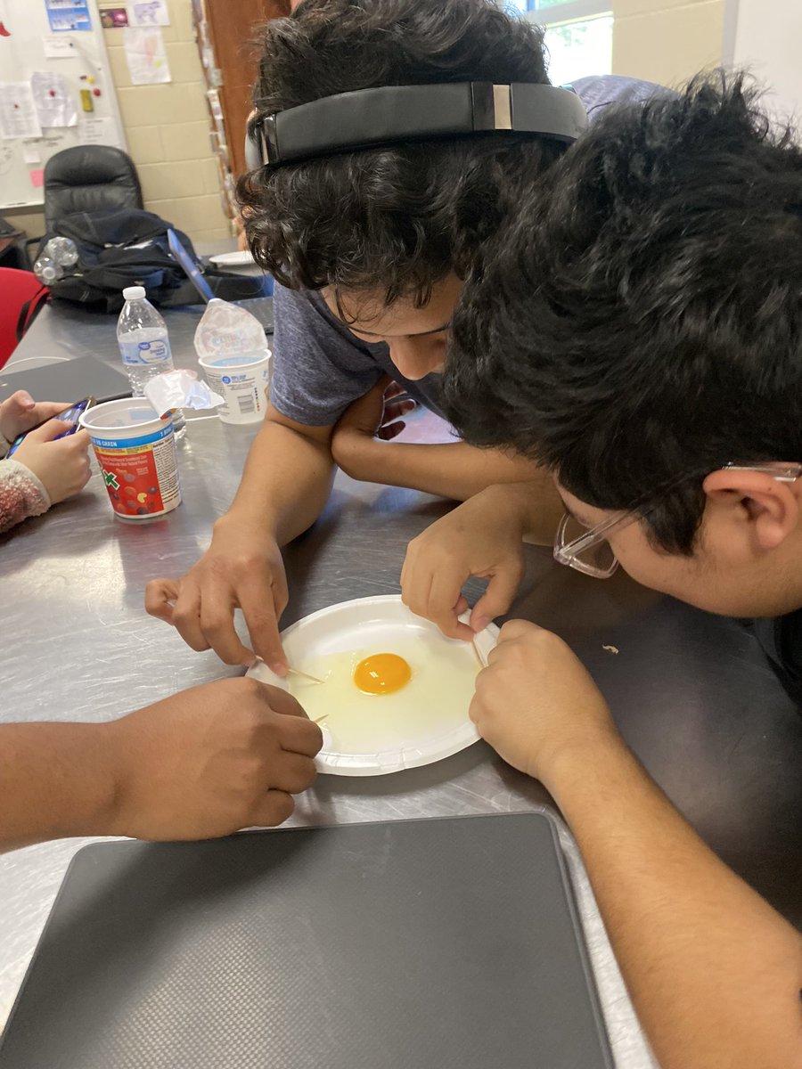 Egg dissections in Principles of Ag!