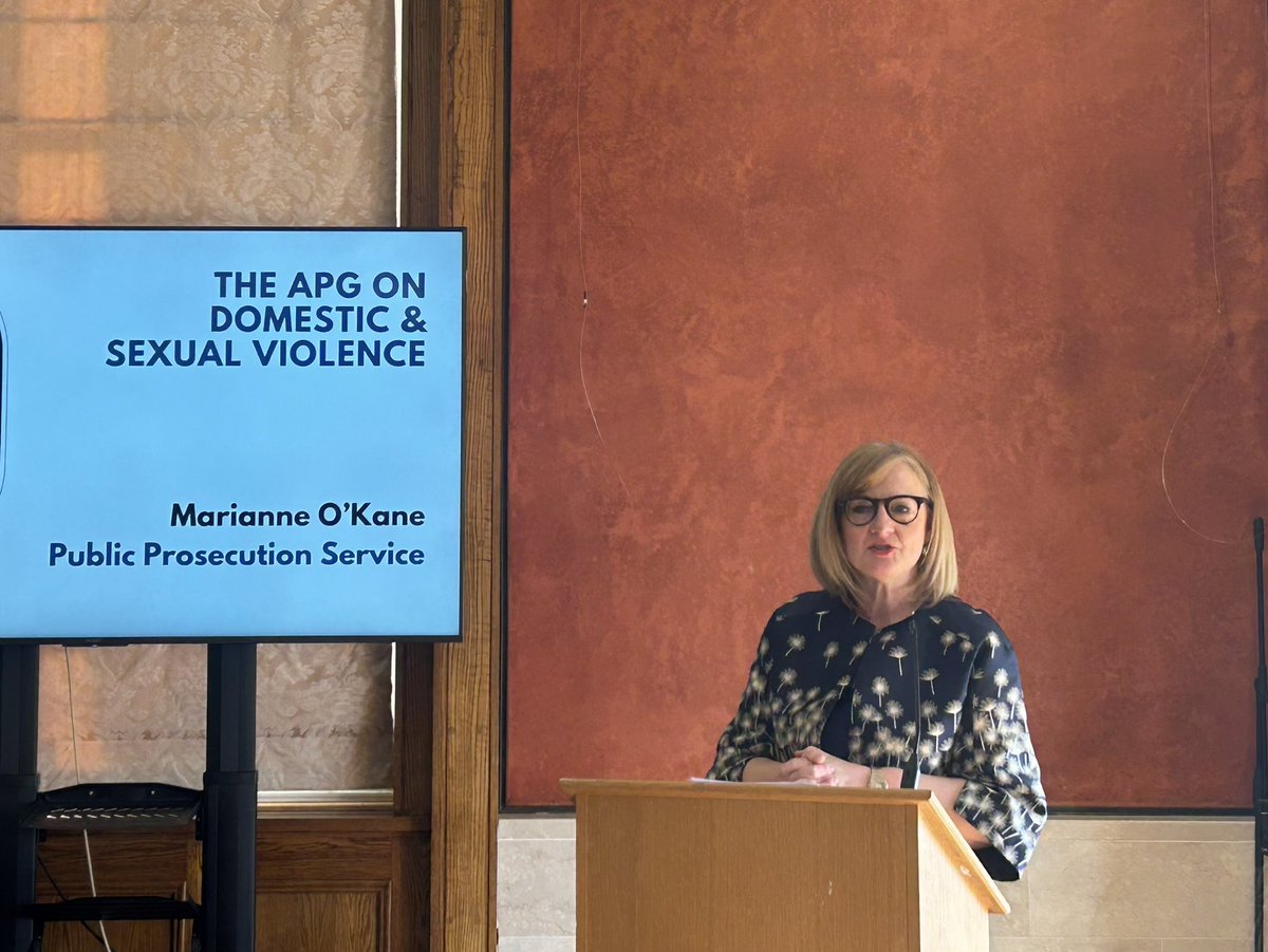 Marriane O’Kane addresses today’s All Party Group on Domestic & Sexual Violence event @thePPSNI @Justice_NI @WomsaidBelLis @WomsAidNI @Belfastdsvp @assistni_ @nivictimscom @PoliceServiceNI @PBNINews