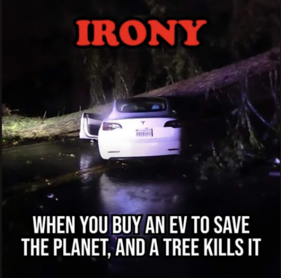 13thKai's tweet photo. #SaveATree https://t.co/a6PIhApBHX