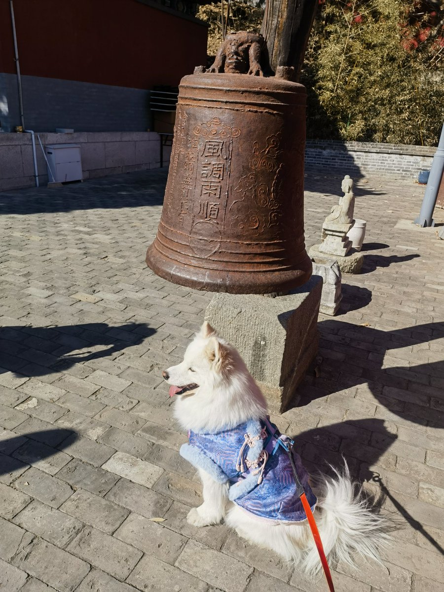 理财盘开发+ TG:@ttkaifa.ioq