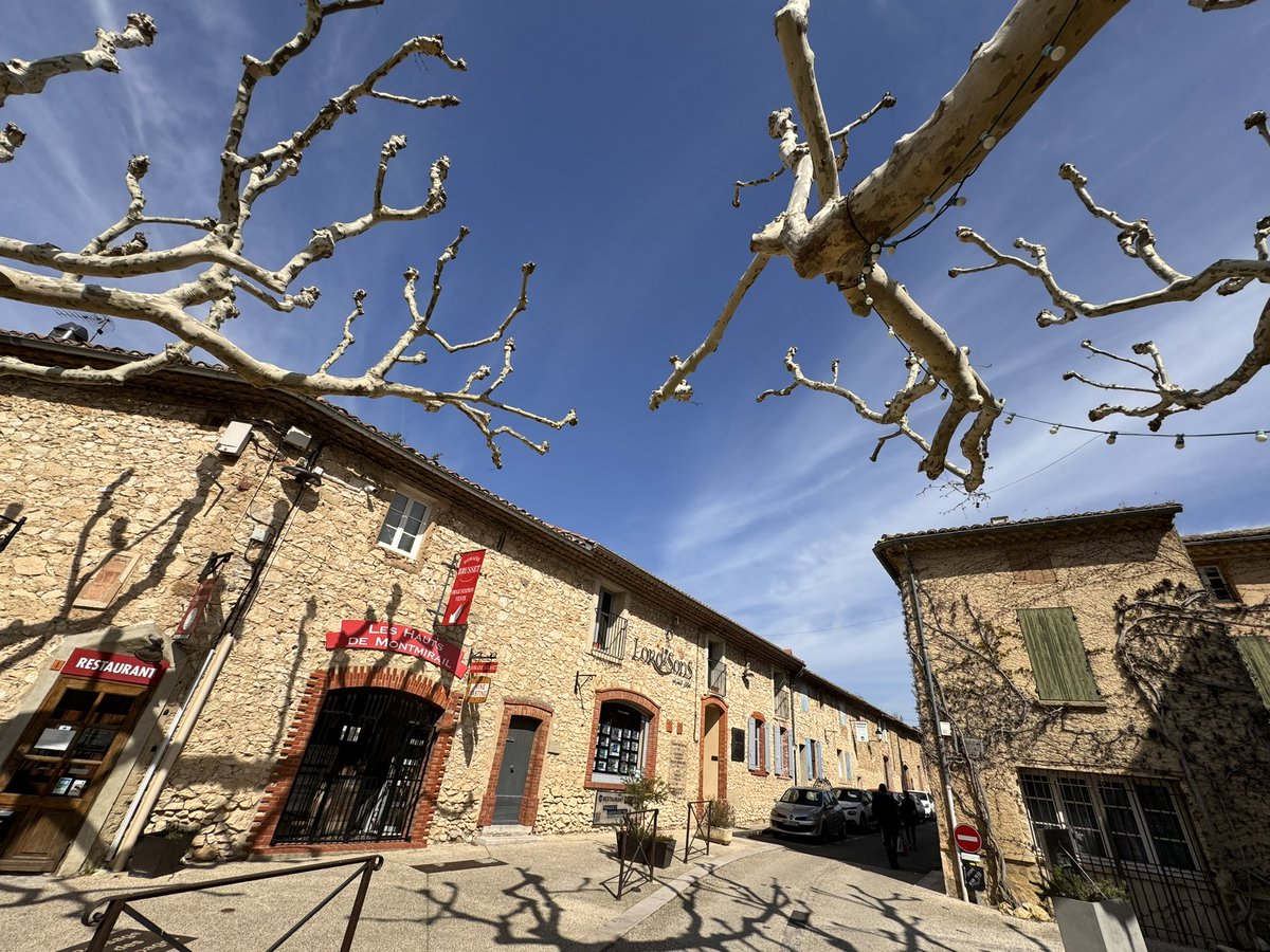 Jamie Goode tweet media