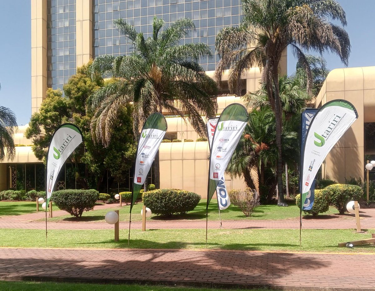 The Utariri Programme tweet media