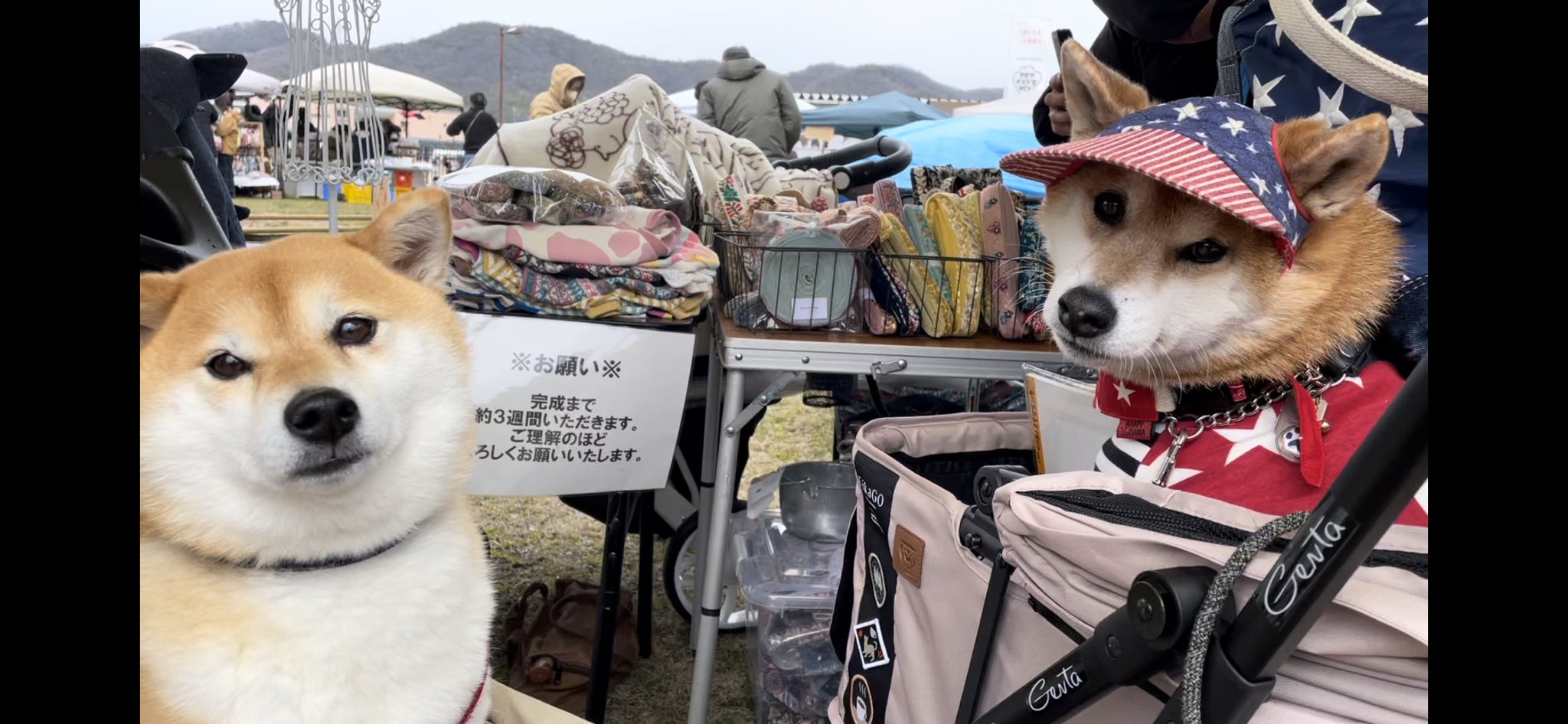 わんこパーティー - Search / X