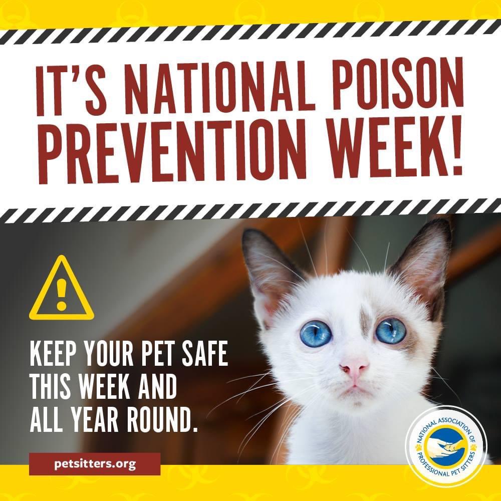 The 3rd full week in march recognizes National Poison Prevention Week and raises awareness of the dangers of poisoning in people and pets of all ages. See our latest blog for excellent safety information and tips- Please share and see more in comments. 
#PoisonPreventionWeek