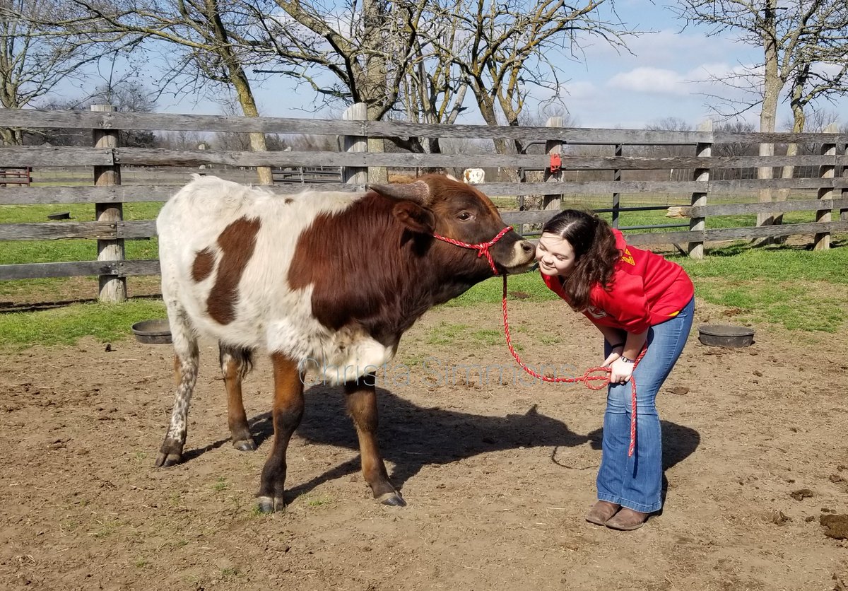Calf kisses❤🐮 #ranchlife #texaslonghorns #calving2023