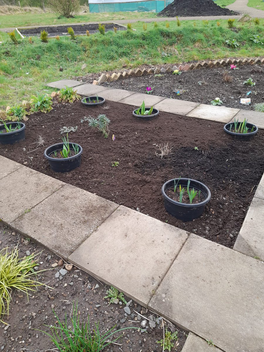 Turning Point Scotland North Ayrshire P.E.A.R tweet media