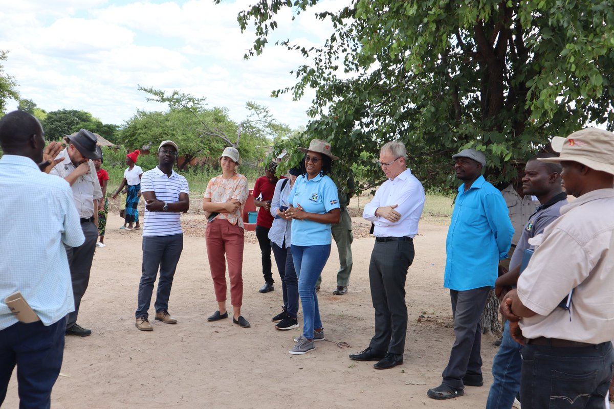 The Utariri Programme tweet media