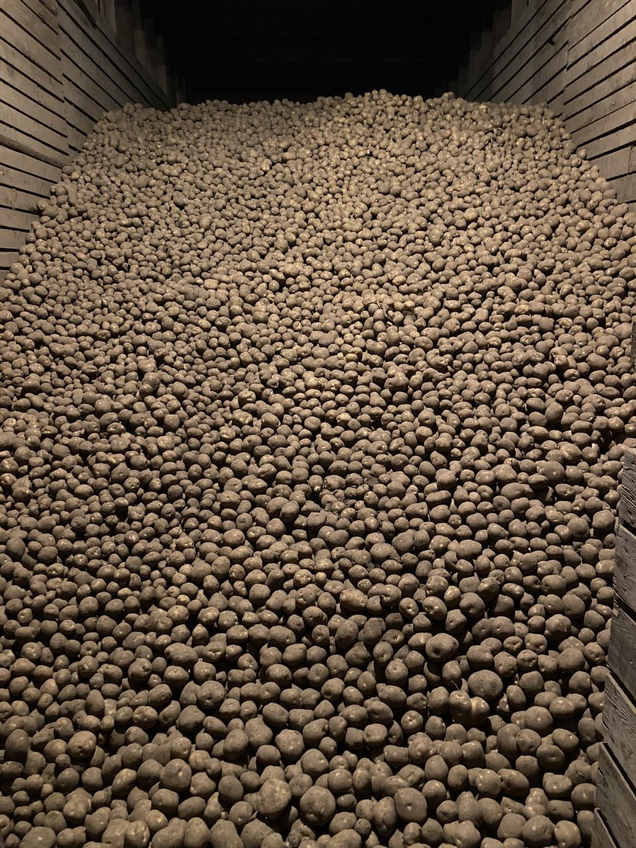 Carter Atkinson tweet media