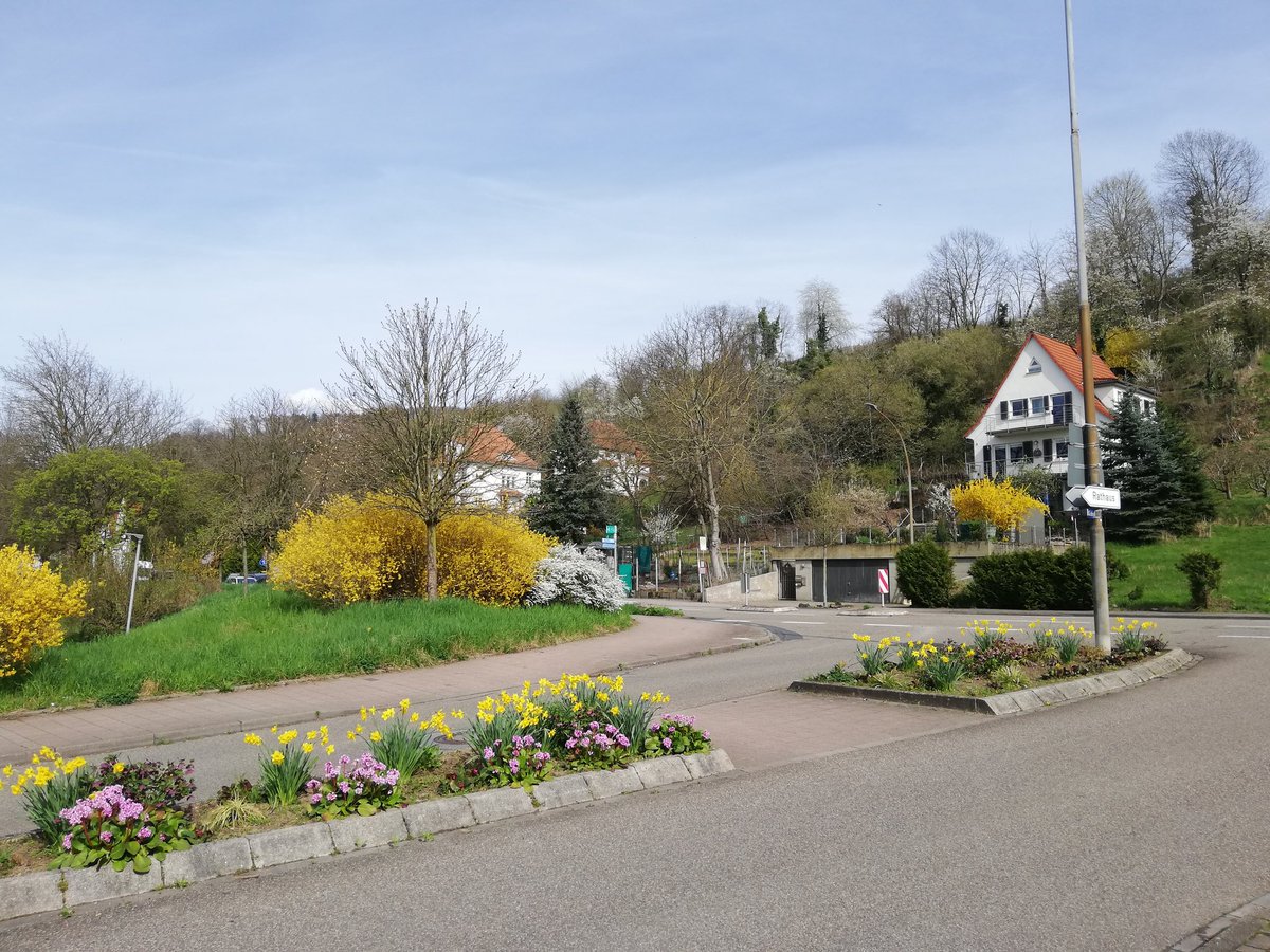 Gruß von der Bergstrasse.
Nordbaden/Südhessen 🌞