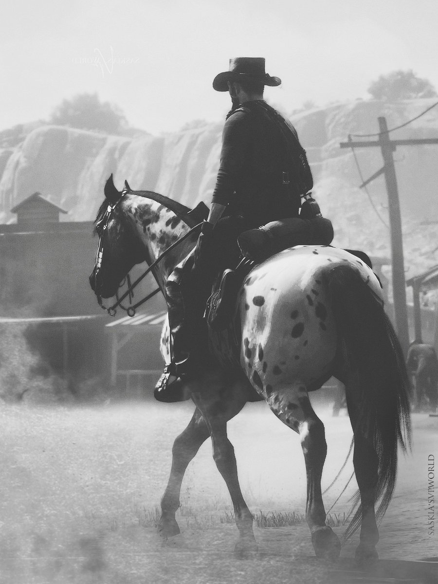 𝐓𝐡𝐞 𝐥𝐨𝐧𝐞 𝐨𝐮𝐭𝐥𝐚𝐰 - #RedDeadRedemption2 #RockstarGames - #Virtualphotography #ThePhotoMode #kpturcorp #VPGamers #VPRT - #blackandwhitephotography #outlaw