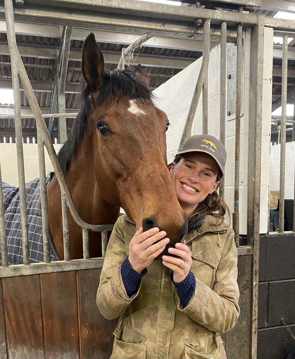 Nice to see old favourite Summerghand this morning @omeararacing in his 8th season in training and preparing for his 92nd start!