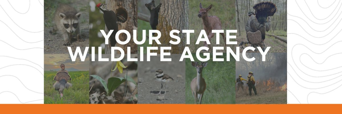 Your state wildlife agency. Proud to manage and protect Pennsylvania wildlife and their habitats while promoting hunting and trapping for current and future generations.