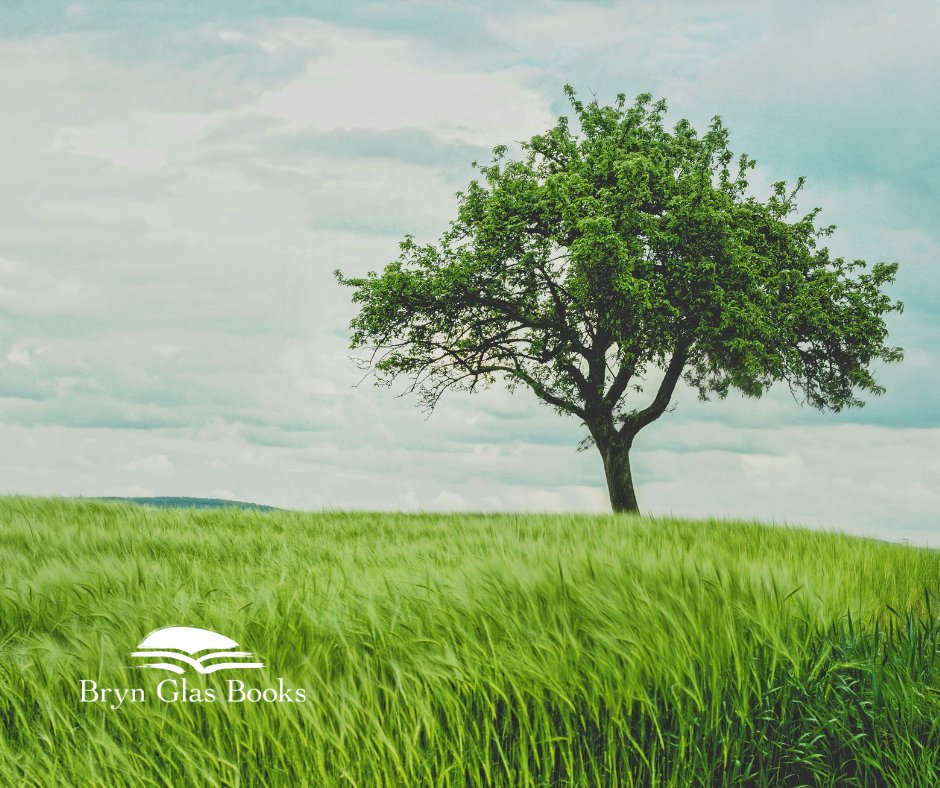 Today - the Equinox - a potent symbol of balance. Pausing to review priorities ...