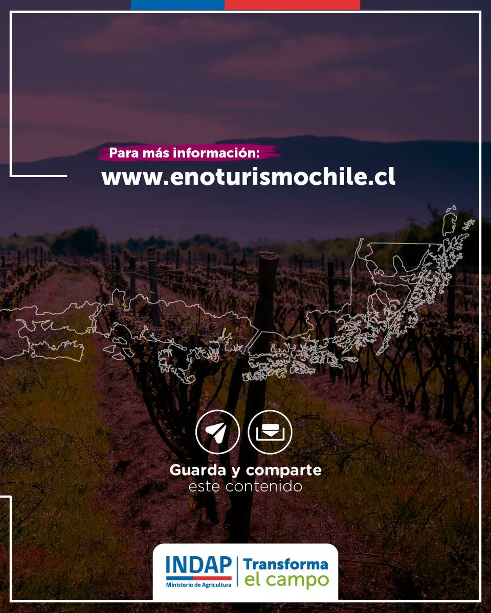 ¡Apoyemos a los vinos campesinos!🍷 🚨Estamos en época de vendimia y no queremos que te pierdas ninguna. Por esta razón, te presentamos un calendario con todas las vendimias que se llevarán a cabo en nuestro país🇨🇱.