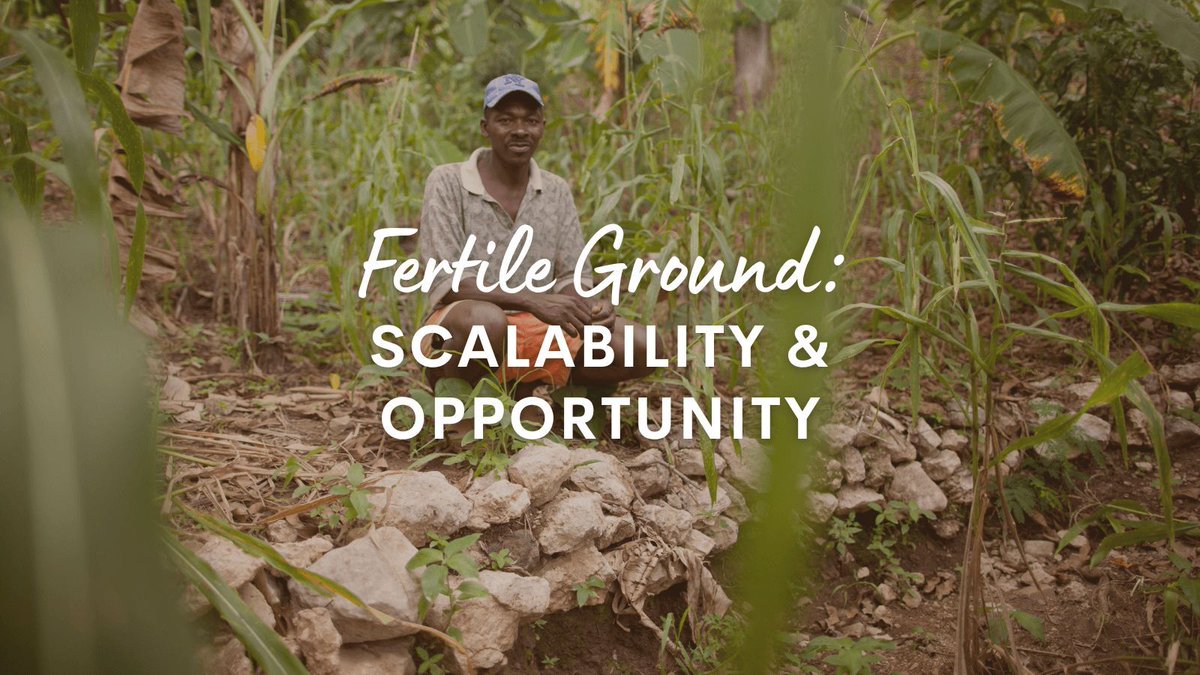#Agroecology provides practical and scalable solutions for a shift towards sustainable, nutritious diets, soil regeneration, and #climateresilience among farmers. buff.ly/3Vqe0qi