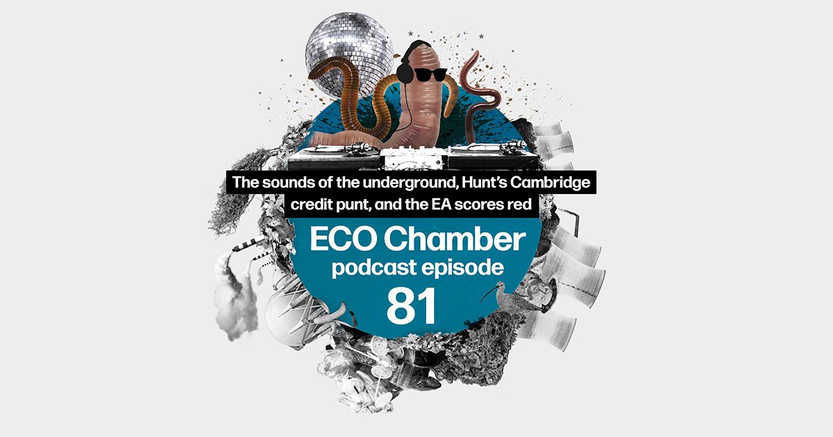 In a conversation with @TheENDSReport's Editor @J_J_Carpenter on the Eco Chamber podcast, @abr_eco sheds light on the importance of soundscapes in ecological assessments & the transformative impact of technology in this field. Skip to 17:25 🎧 open.spotify.com/episode/5v47bG…