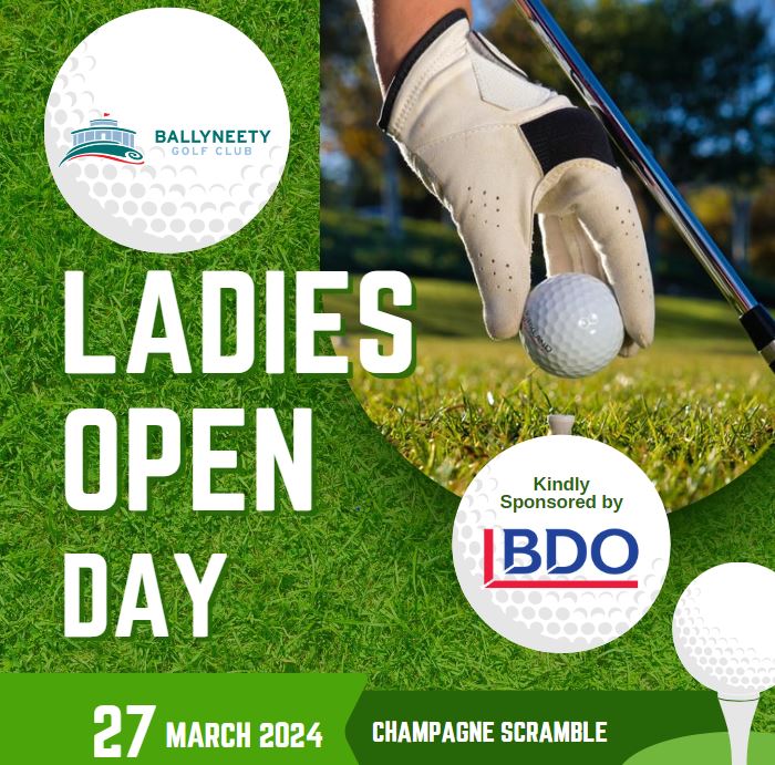 BDO Limerick tweet media