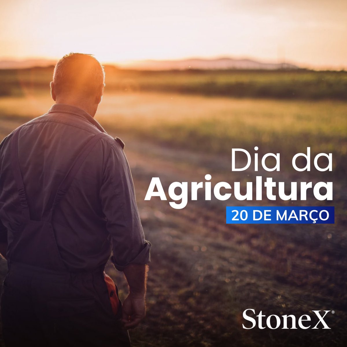 StoneX_Brasil's tweet image. Respeito máximo e admiração por todos os produtores que cultivam dedicação e desenvolvimento através do trabalho com a terra! 🌱

#DiaMundialdaAgricultura #DiadaAgricultura #produtorrural
