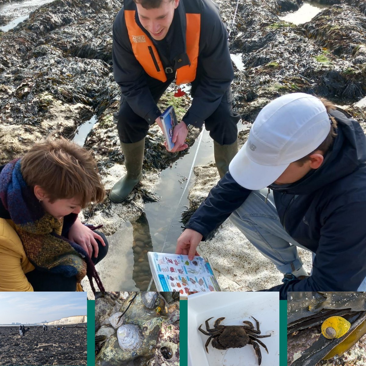Last week, officers joined students from the @uniofbrighton in their rocky shore practical survey. Comparing the biodiversity in quadrats across the upper, mid, and lower zones of the intertidal area. The site surveyed lies within Beachy Head West Marine Conservation Zone.