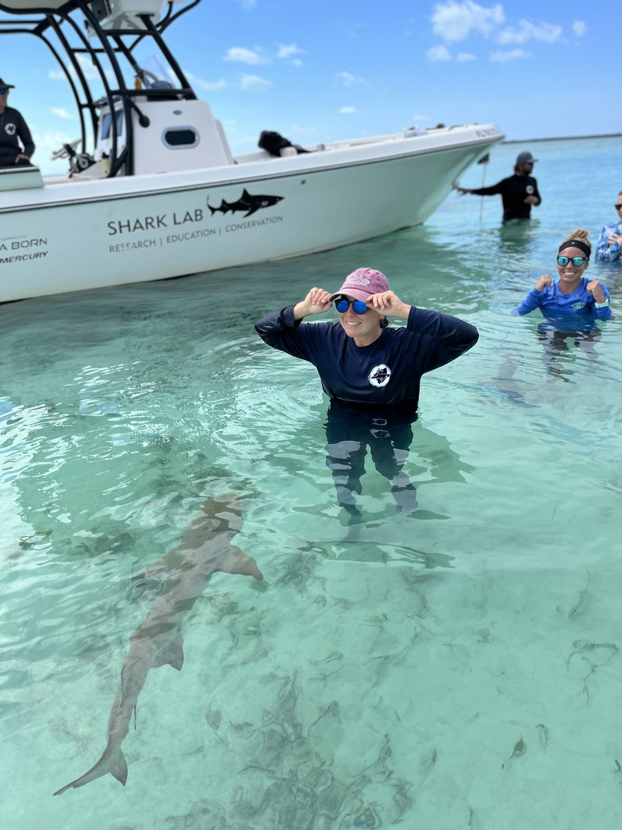 Education and Conservation are two of our main missions. We cannot have conservation without education! We strive to raise public perception and awareness of sharks and other marine species.