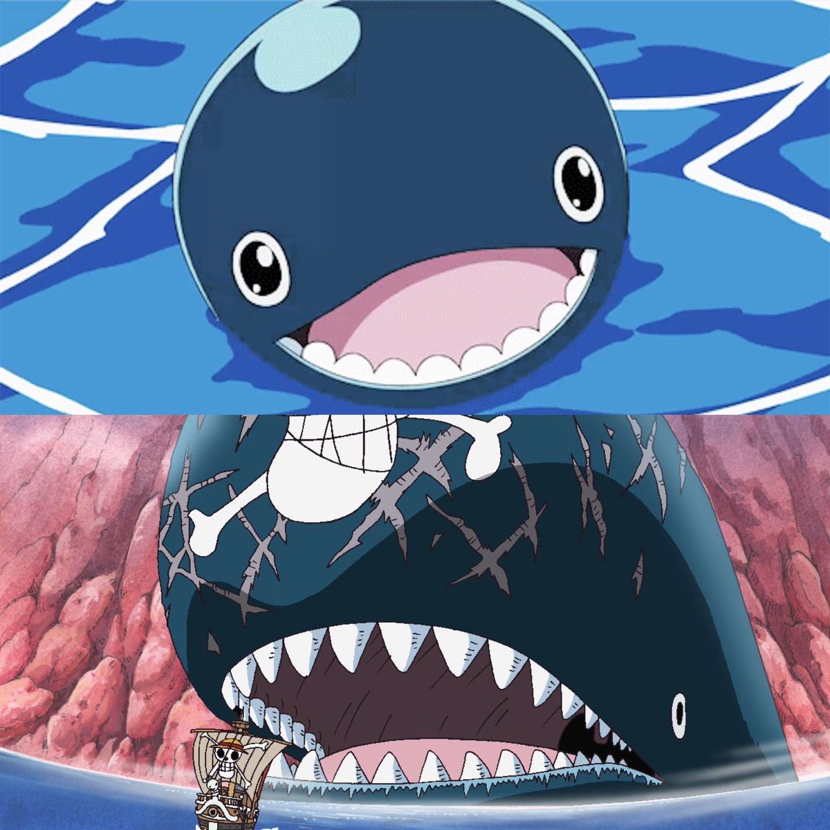 strawhats's tweet image. Laboon