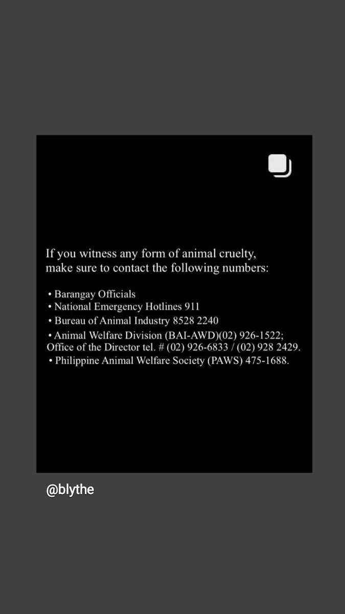 ramonablyt's tweet photo. Blythe's IG post

Let's be the voice for the voiceless and put an end to animal cruelty!

#JusticeForKillua
#NotoAnimalCruelty https://t.co/ngdrgHQsZI