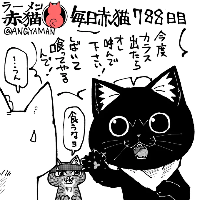 武闘派#ラーメン赤猫 #ジャンププラス93話  