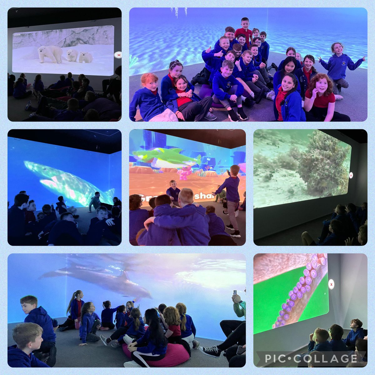 We’ve had a few classes in this week from Ystrad Mynach Primary. The first two went under the sea to find out what’s the commotion in the ocean.

<a href="/ympsrossiter/">Mr Rossiter</a>