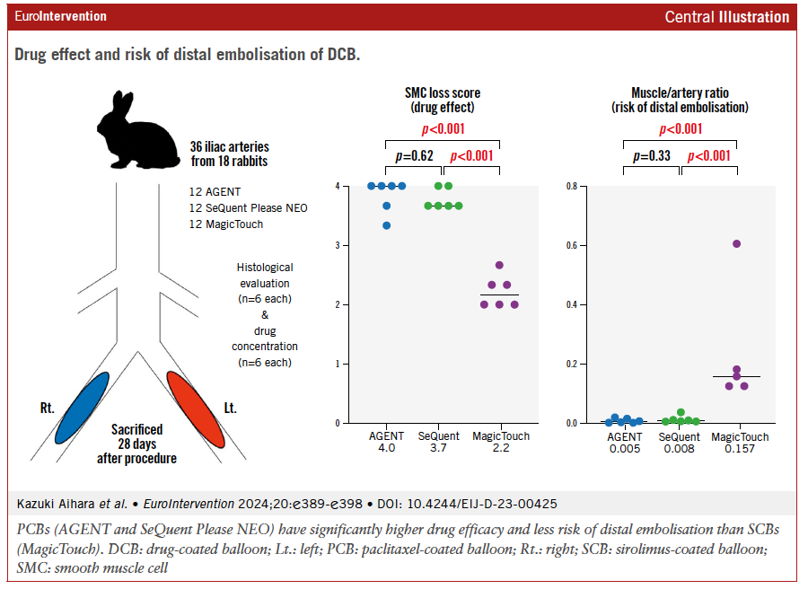 This preclinical study compared the effects and safety of two paclitaxel-coated drug-coated balloons (DCBs)—a low-dose version (AGENT) and a regular-dose (SeQuent Please NEO)—with a sirolimus-coated DCB (MagicTouch) in rabbit iliac arteries. Histological evaluations showed higher