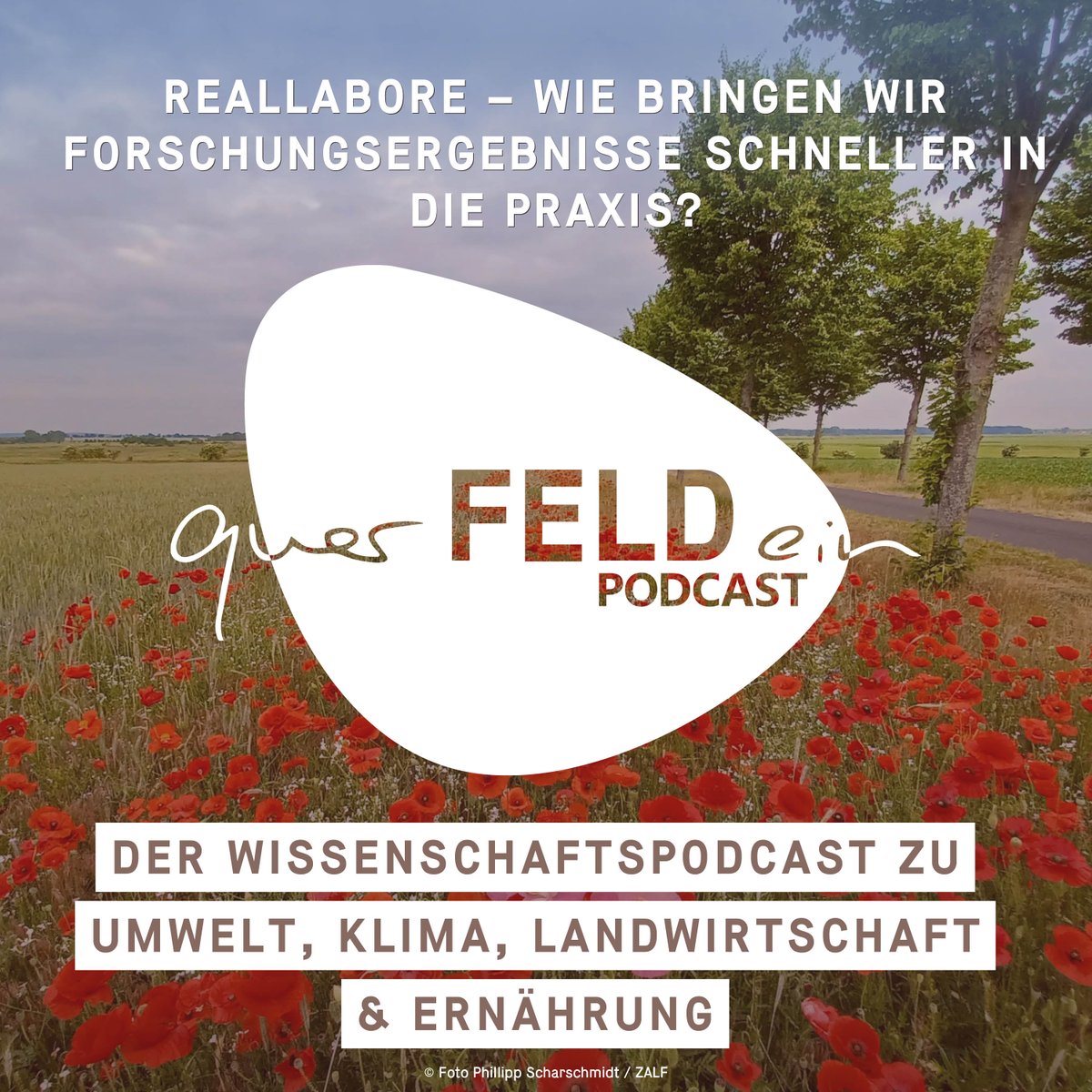 Morgen veröffentlichen wir Podcast-Folge #31! Das Thema diesmal: Reallabore – Wie bringen wir Forschungsergebnisse schneller in die Praxis? open.spotify.com/show/42AlA0X96… @uni_kassel @LeibnizWGL @zalf_leibniz @HMWK_Hessen @jlugiessen @hsgeisenheim @mwfkbrb