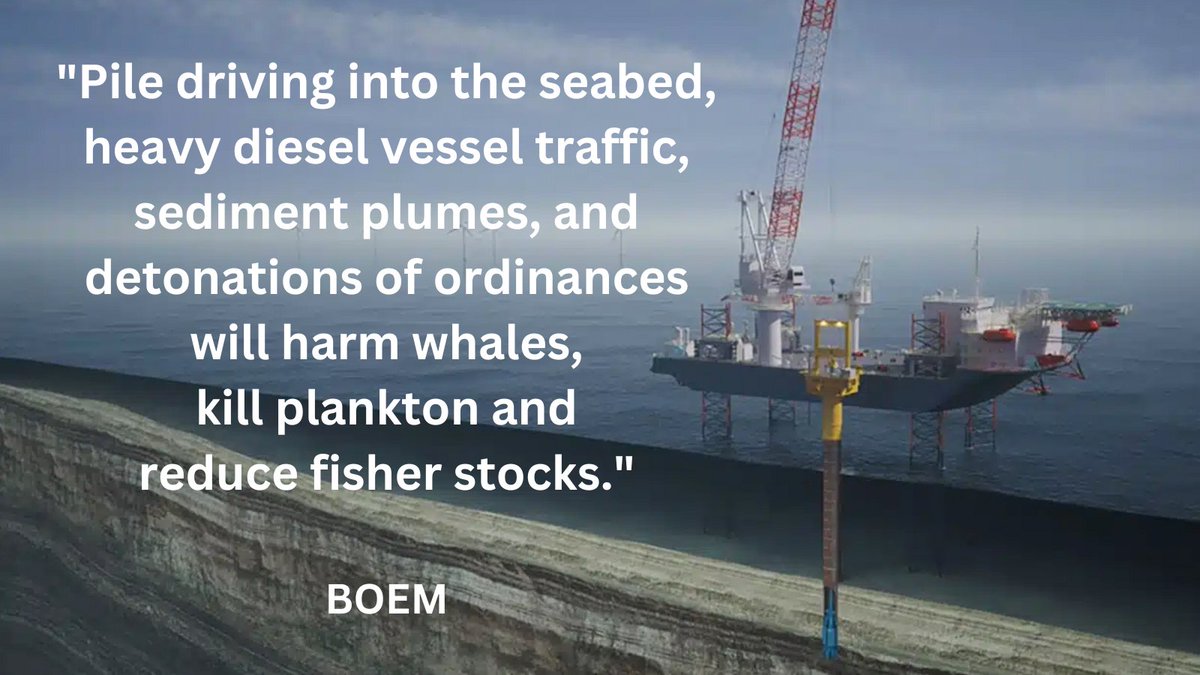 Huge turbines 1047 ft tall 50ft wide-5 Million Lbs ea are pile driven 242 Ft deep into seabed using extreme force. The giant turbines emit continuous low frequency operating vibrations into the ocean floor for 20 year life. @BOEM knows pile driving will harm & kill #MarineLife