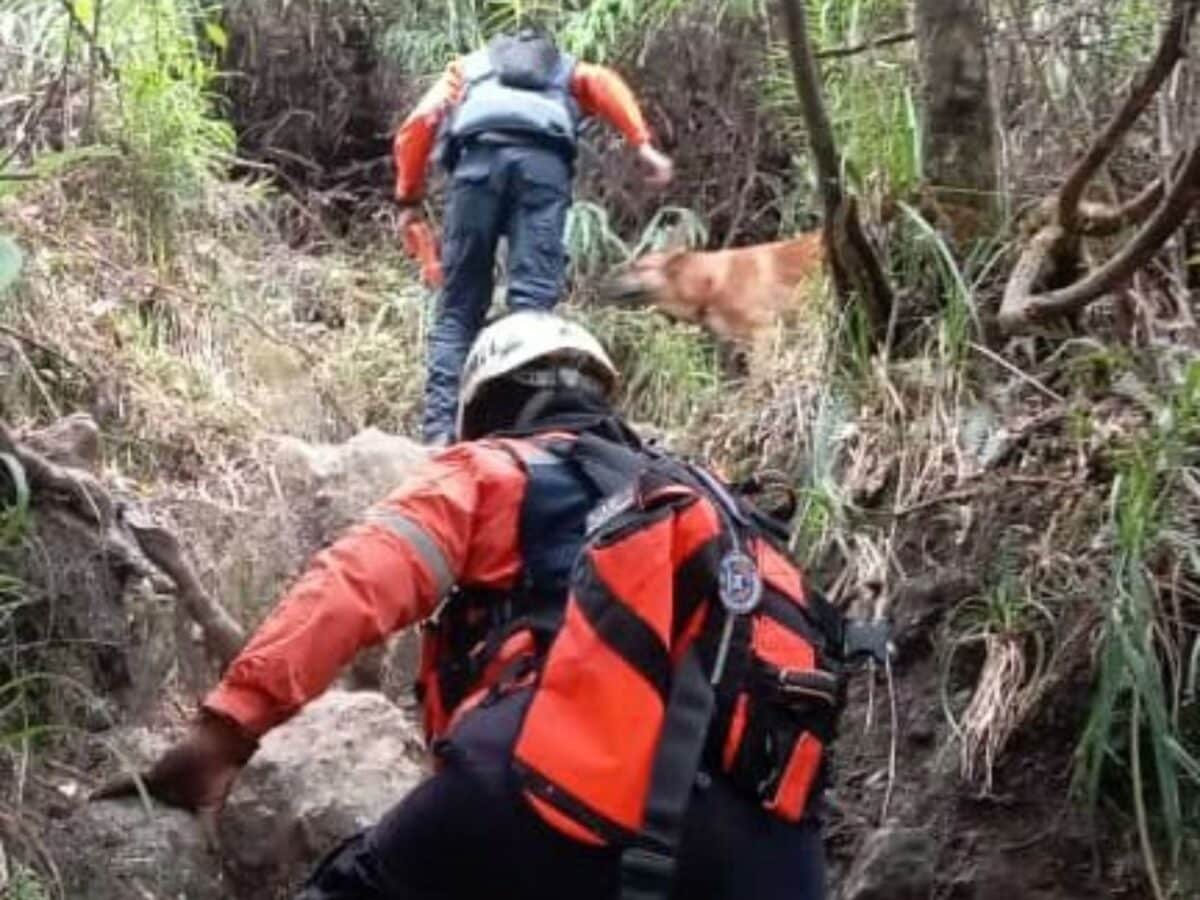 ... sector Cueva de Los Palmeros cercana a la Quebrada Quintero.
Para la hora los rescatistas manifiestan tener contacto auditivo y realizan maniobras de pica para establecer localización y rescate de los mismos. Se conoce que son 2 adultos y 3 menores de edad.