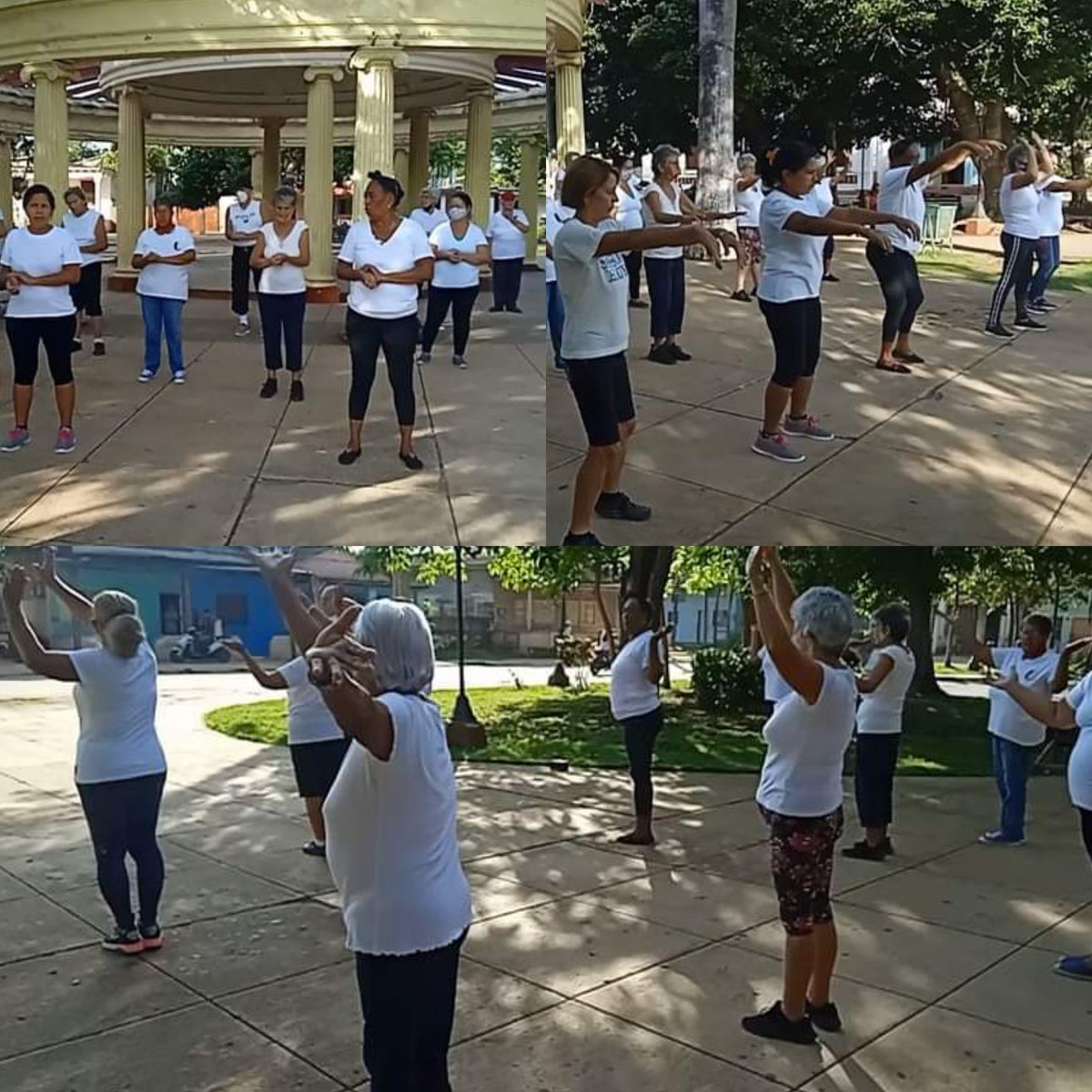 Se respira paz y tranquilidad en el parque de #Batabanó, lugar que aprovechan los practicantes de #taichí para aliviar los dolores del cuerpo y tener una vida sana.
#Mayabeque
#SomosCubaViva #CubaPorLaPaz #CubaEsSalud #Telemayabeque