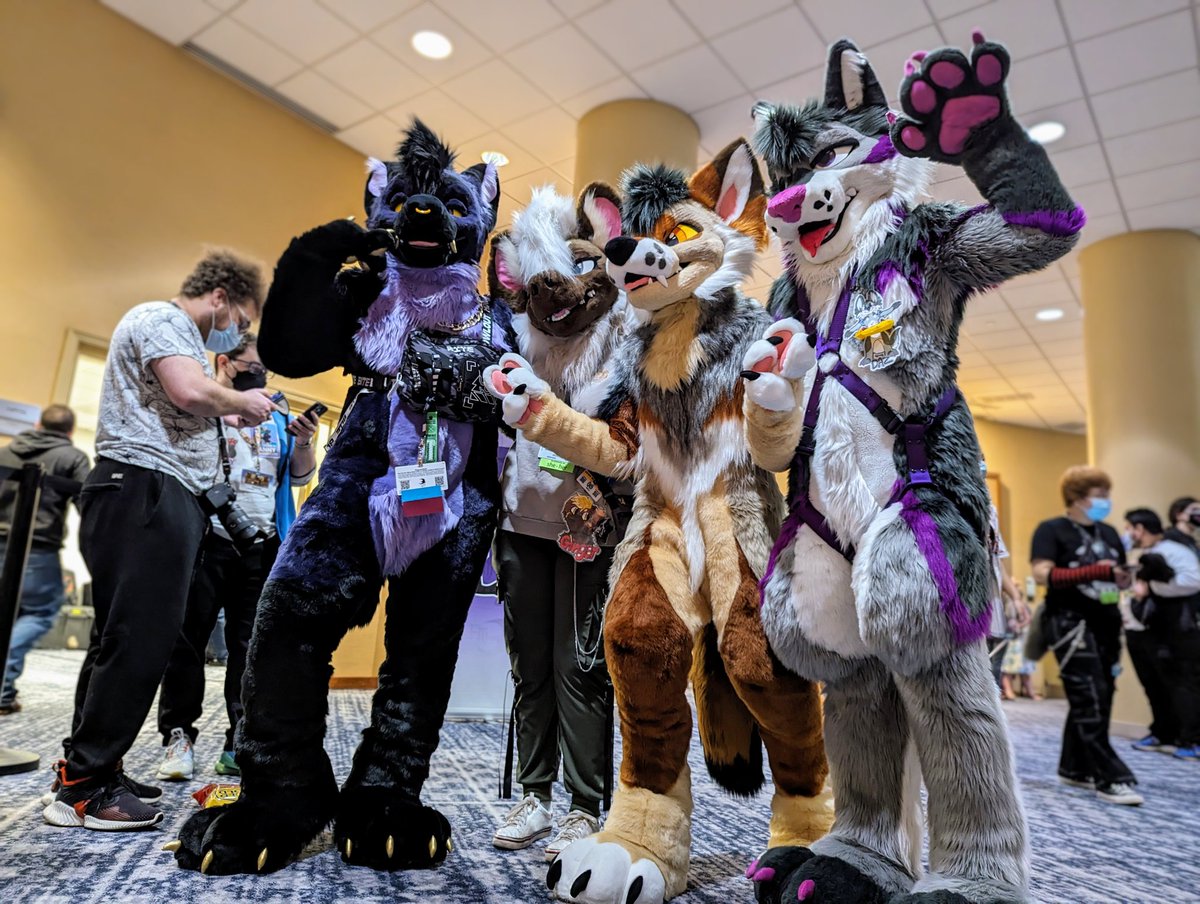 On today's episode: Canines 🐺🦊

@jackal_husband_ @yeenbites @PromoYeen 

📸 @IronYote