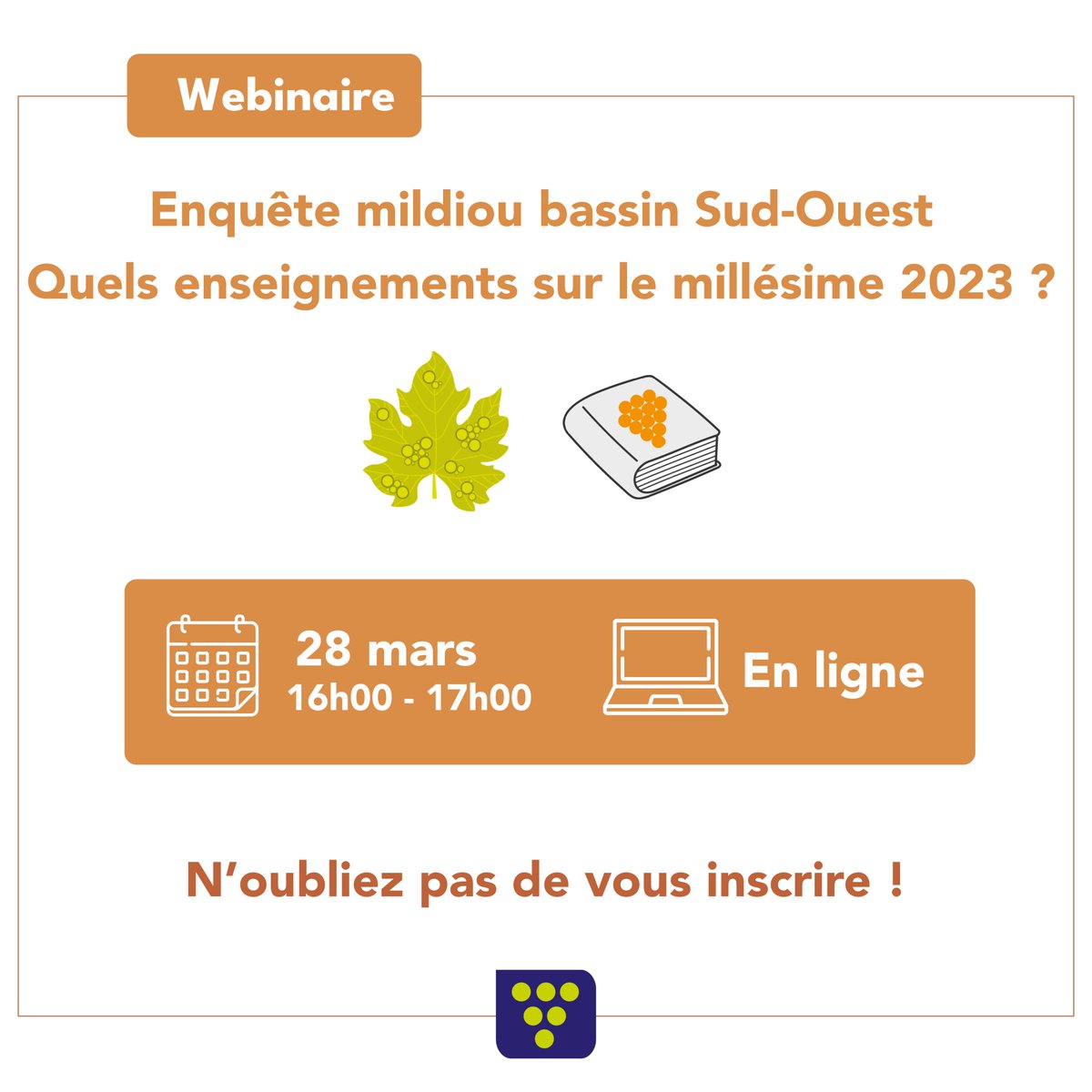 [Webinaire 💻] 📅 jeudi 28 mars 🕔 16h00 - 17h00 Suite à l'enquête réalisée dans le bassin Sud-Ouest pour comprendre le millésime 2023 et les dégâts de mildiou, l'IFV vous propose une restitution des résultats lors de ce webinaire. Pour vous inscrire👇 vignevin-occitanie.com/agenda/webinai…