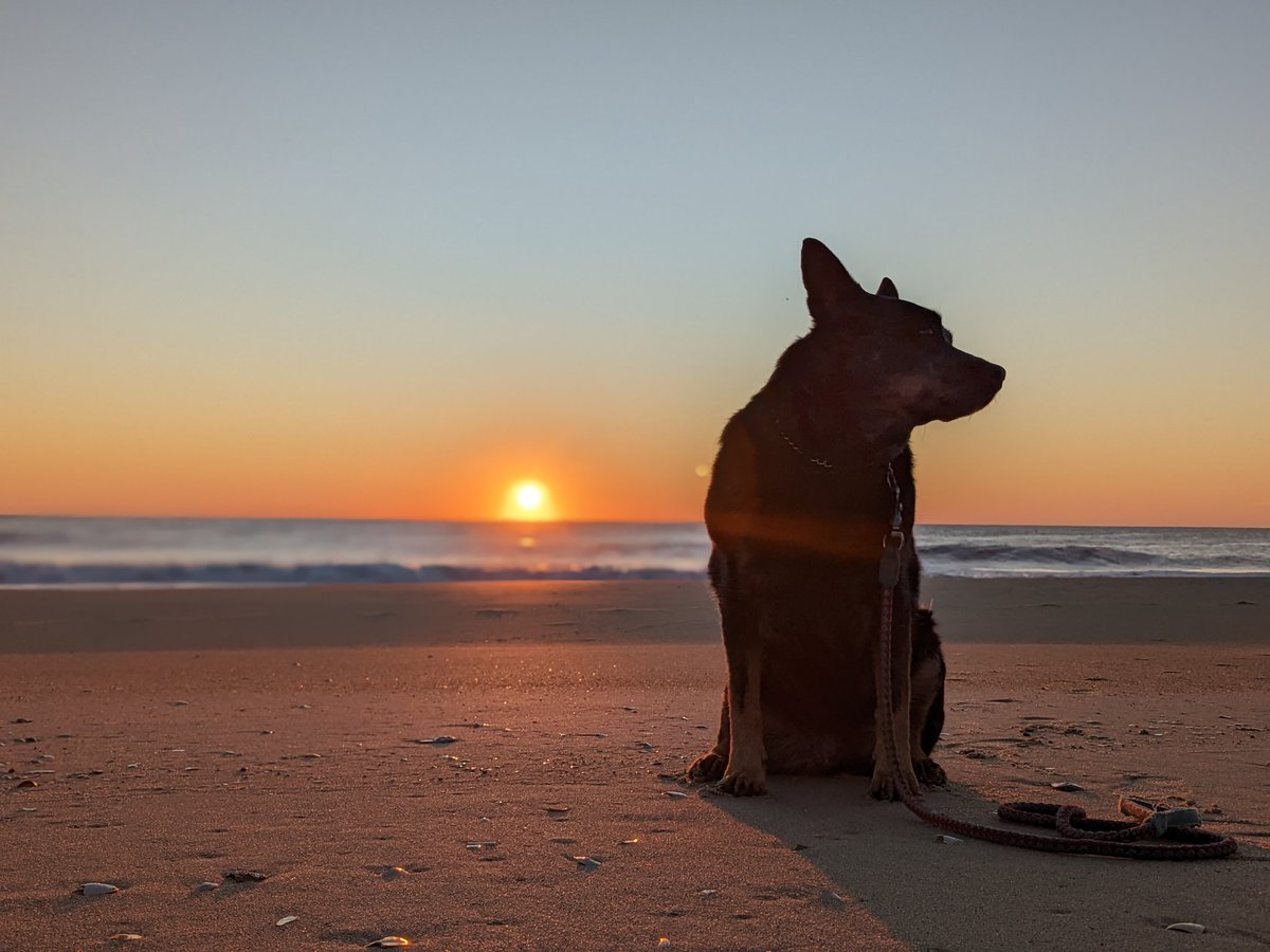 There are so many ways to have a good day. Today, we're going to do all of them. 
#writingcommunity
#gethappy
