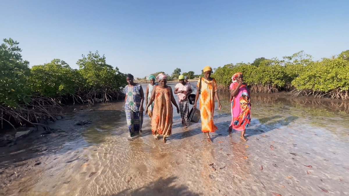 En cette Journée internationale de la Francophonie, nous saluons toutes les personnes engagées dans des projets d'atténuation des changements climatiques dans les pays francophones vulnérables, et qui sont appuyés par notre Programme de coopération climatique internationale!