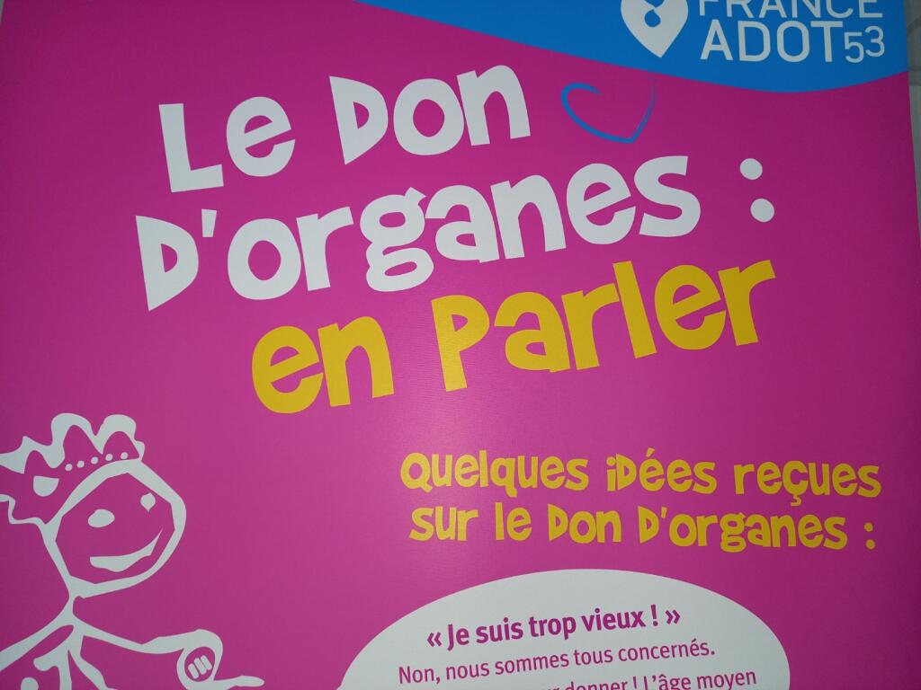 #Laval Ce mardi à la MFR Pignerie,information auprès du second groupe d'apprenants de 1ère Bac Pro SAPAT. Echanges sur la greffe de #MoelleOsseuse et projection du film de sensibilisation au #DonDorganes 'Comment j'ai sauvé des vies '
Échanges avec Marie Thérèse greffée cardiaque