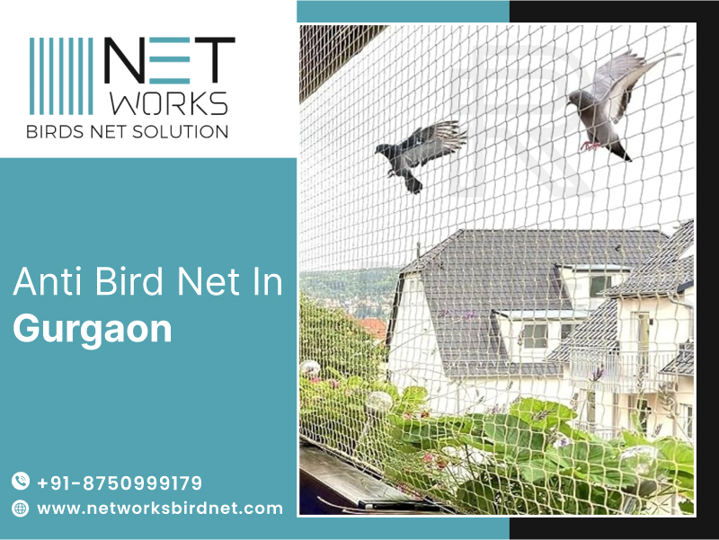 networksbirdnet's tweet image. Are you looking anti bird net in Gurgaon? 
Networks Birds Net is the best option for anti bird net in Gurgaon.
Contact us today +91 087509 99179 for booking consultation.
Visit: networksbirdnet.com/bird-net-insta…
#Antibirdnet
#Gurgaon
#networksbirdnet
#birdcontrol