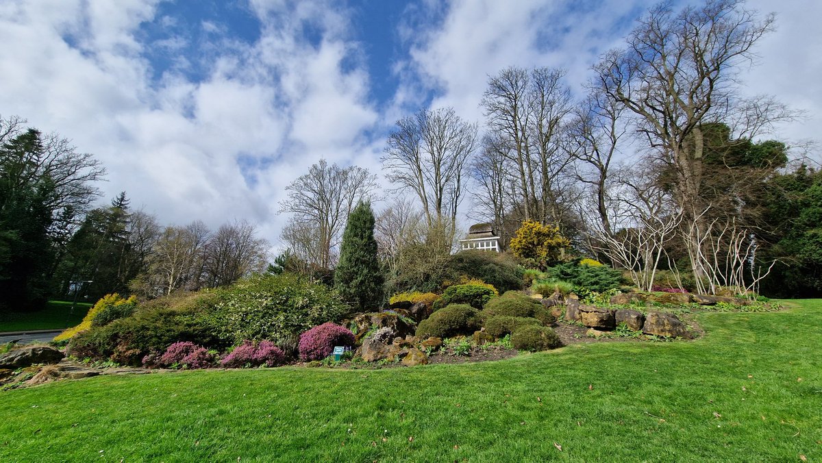 Lucelia Rodrigues (@luceliataranto) on Twitter photo The <a href="/UniofNottingham/">Uni of Nottingham #WeAreUoN</a>'s main campus is stunning under #Spring sunshine 🌞
In this picture you can see our Lenton Firs Rock Garden and summerhouse, on the grounds of Shipstone brewing family home - now housing <a href="/UoNArchitecture/">Architecture & Built Environment Uni of Nottingham</a> 🌸 The <a href="/UniofNottingham/">Uni of Nottingham #WeAreUoN</a>'s main campus is stunning under #Spring sunshine 🌞
In this picture you can see our Lenton Firs Rock Garden and summerhouse, on the grounds of Shipstone brewing family home - now housing <a href="/UoNArchitecture/">Architecture & Built Environment Uni of Nottingham</a> 🌸