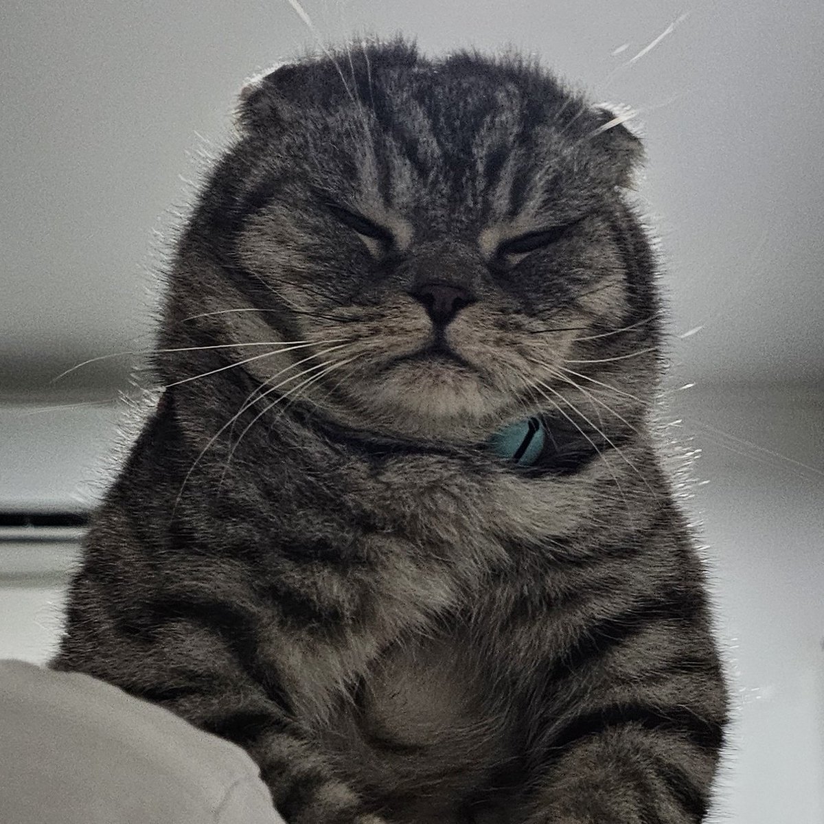 WinterLove2H's tweet photo. #NewProfilePic https://t.co/rBzynfVp6Q