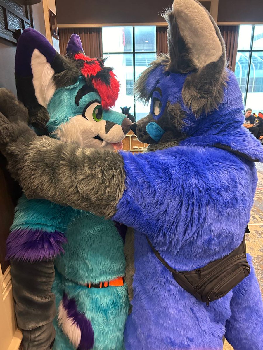 Look at this cute fox I met at TFF! Smushes are just my way of saying hello! 🦊: @DJ_Whole_Milk2 📷: @Quietfops