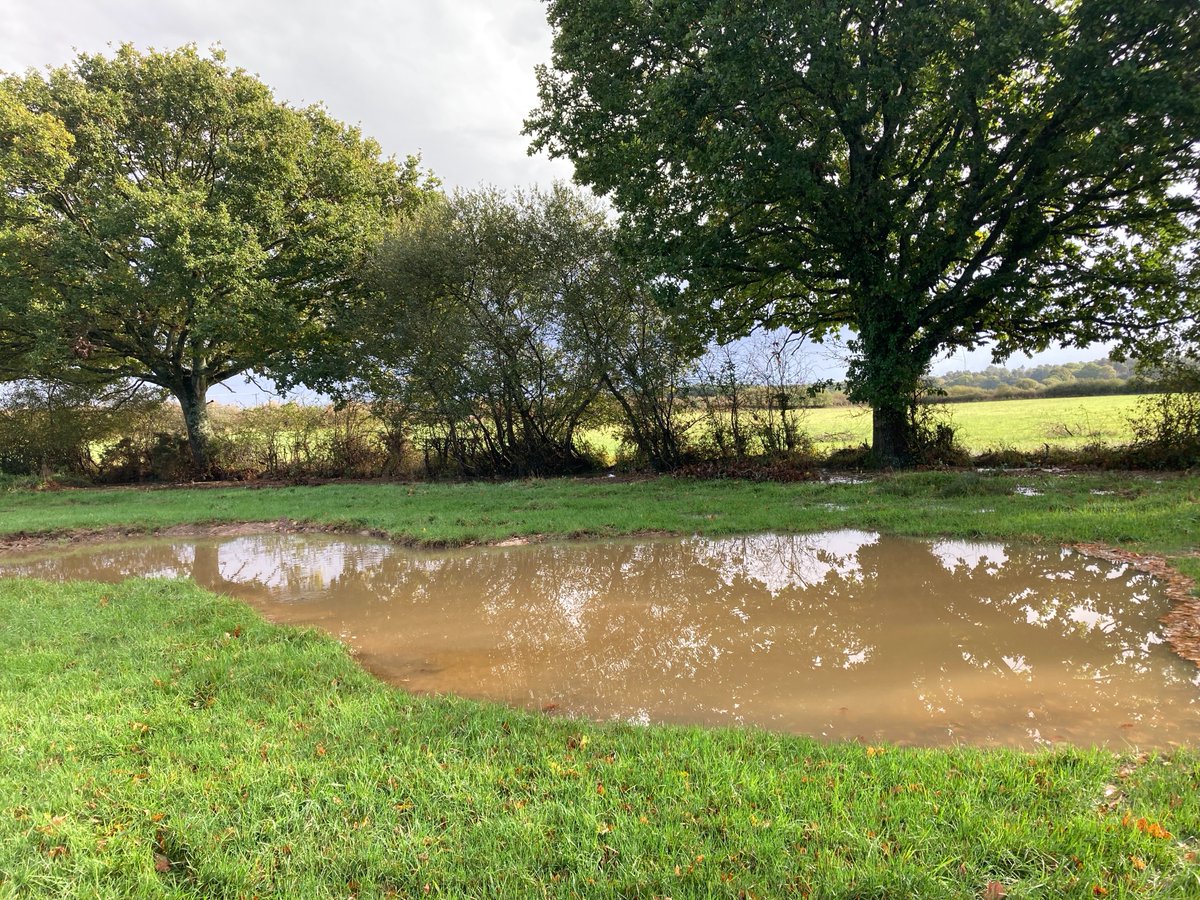 Happy #WorldRewildingDay - a day to highlight projects letting nature take the lead! 🌱 To celebrate, Wild Woodbury Engagement Officer, Daisy Meadowcroft shares some of the successes of our community #rewilding project 👉 bit.ly/3Vq0Ppi ~ Jack 📸 James Burland/Seb Elwood